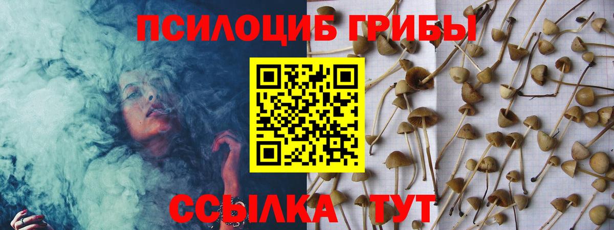 Галлюциногенные грибы прущие грибы Киселёвск