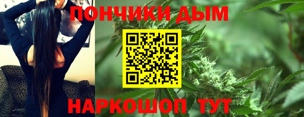 Конопля гибрид  Конопля OG Kush  Вход с VPN  Киселёвск 